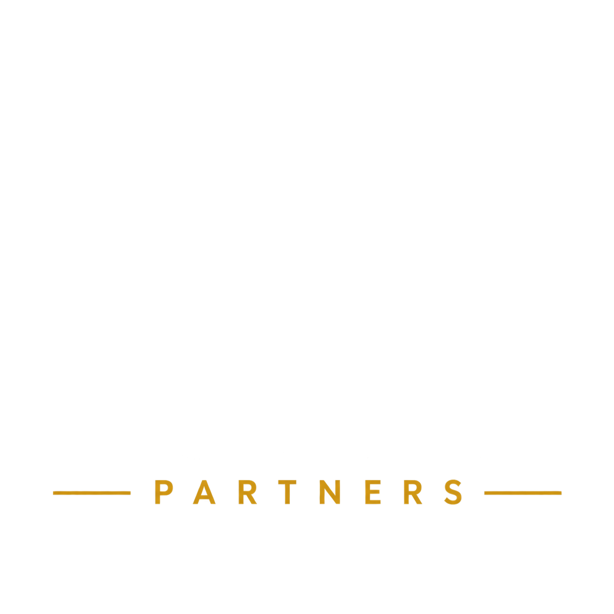 TG Strategy Partners